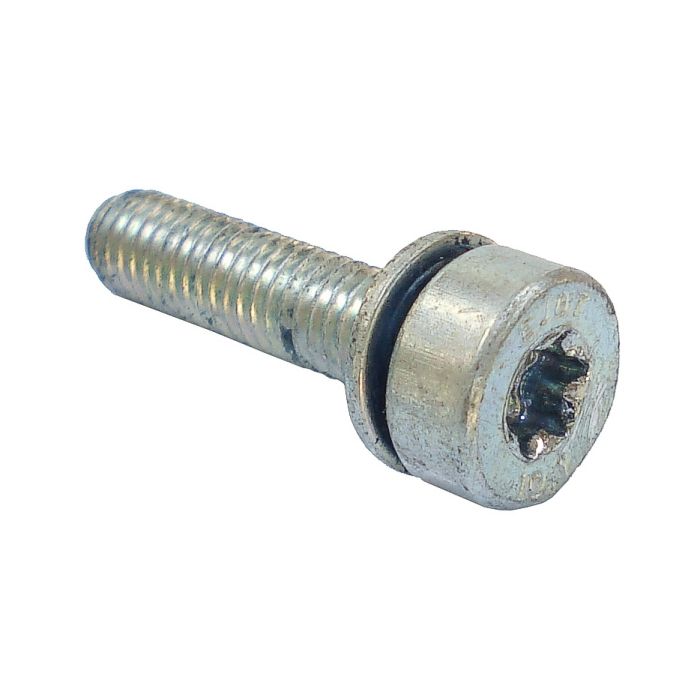 STIHL Spline screw IS-M5x20 90223411019 / 9022 341 1019