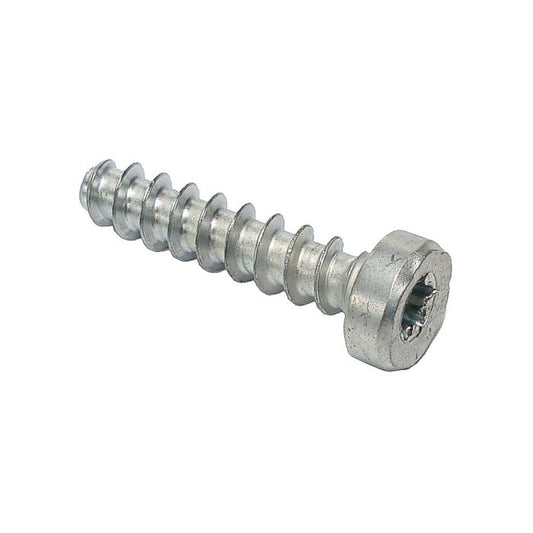 STIHL Pan head self-tapping screw IS-P6x26.5 90744784545 / 9074 478 4545