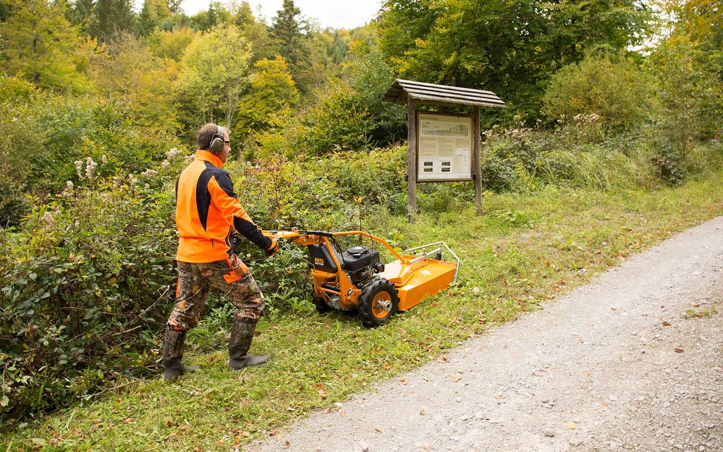 AS-MOTOR AS 65 2T ES Allmaher G06700102