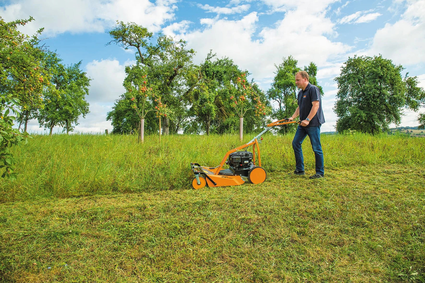 AS-MOTOR AS 62 4T B&S Allmaher