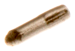 HUSQVARANA PIN - 501462401 / 501 46 24-01