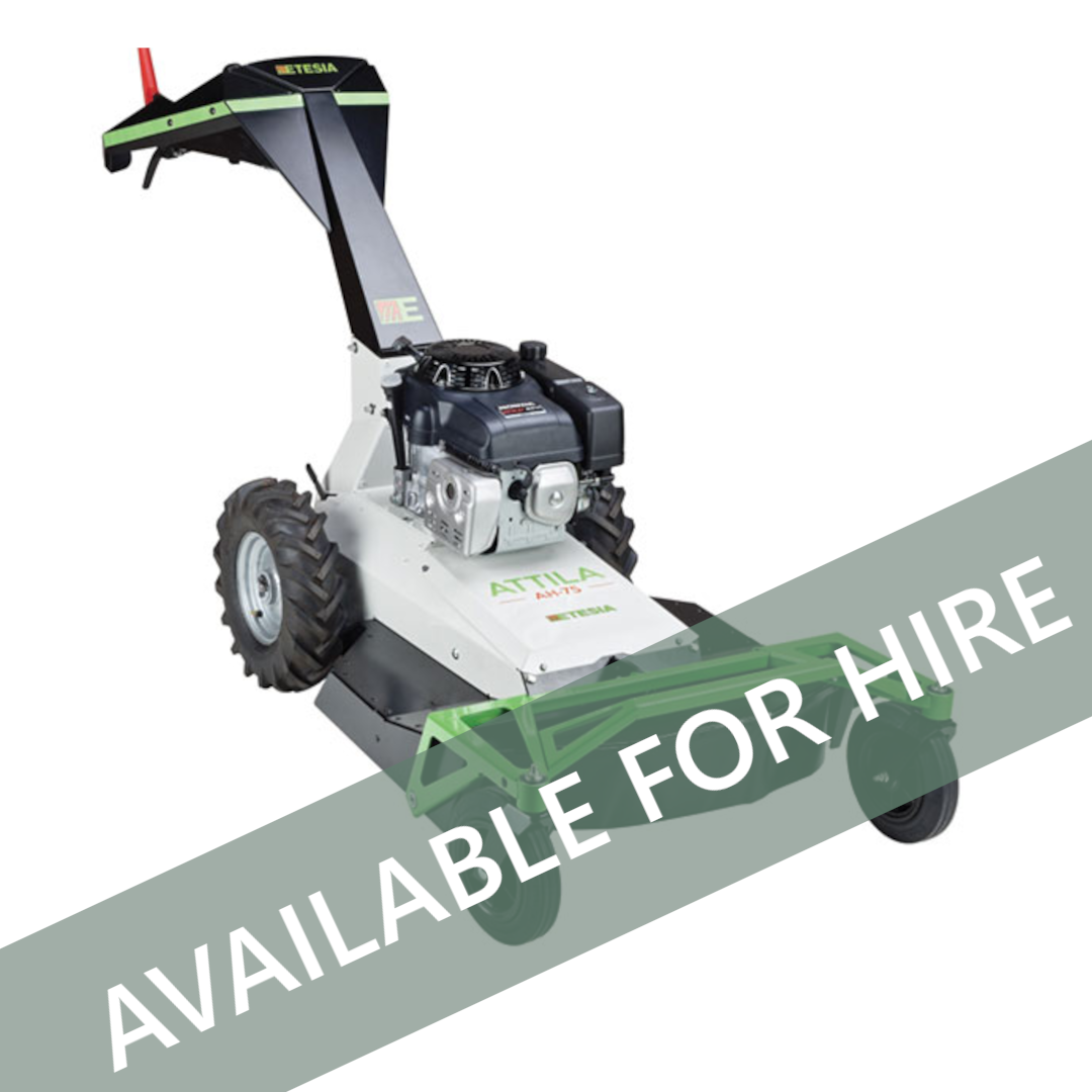 FPG HIRE ETEIA AH75 PEDESTRIAN ROUGH CUTTER