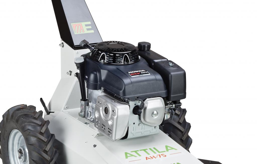 ETESIA ATTILA AH-75