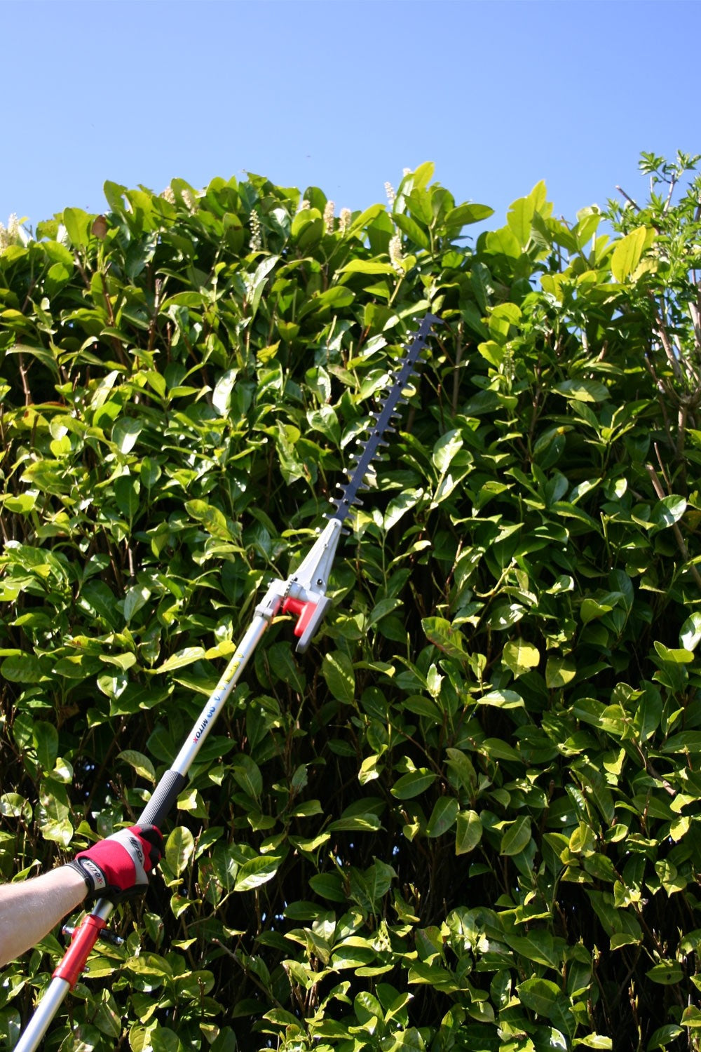 MITOX 28LH Long Reach Hedge Trimmer