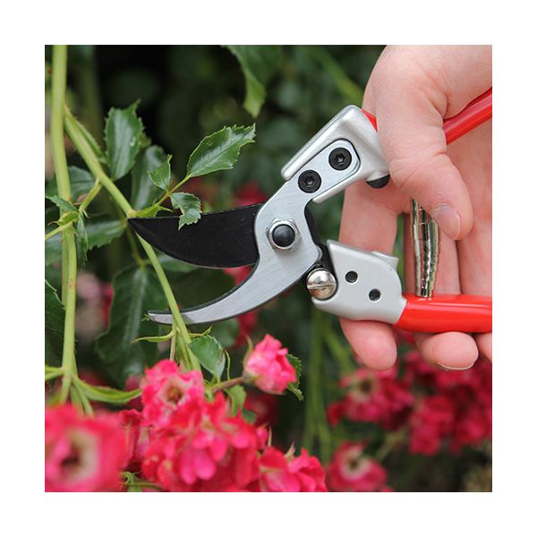 DARLAC Expert Medium Bypass Pruner DP1032