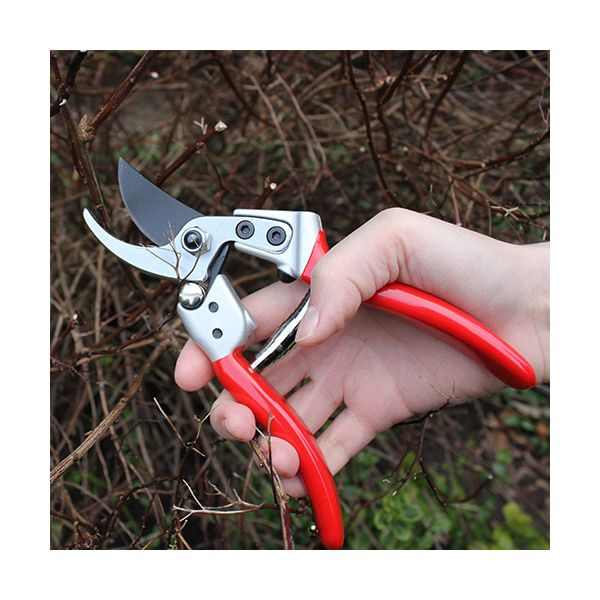 DARLAC Expert Medium Bypass Pruner DP1032