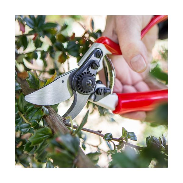DARLAC Expert Rotate Handle Pruner DP1031
