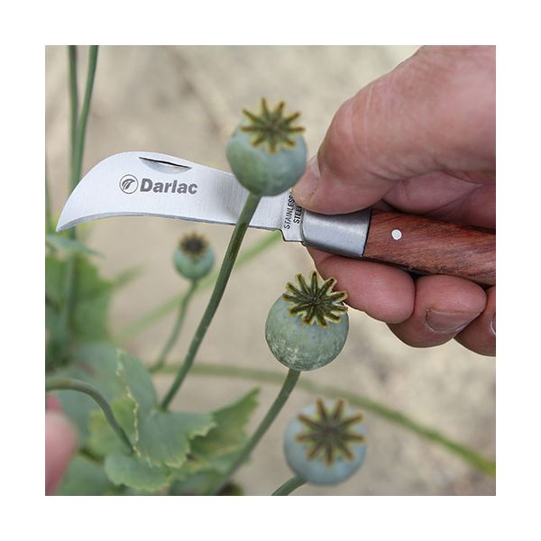 DARLAC Pruning Knife DP347