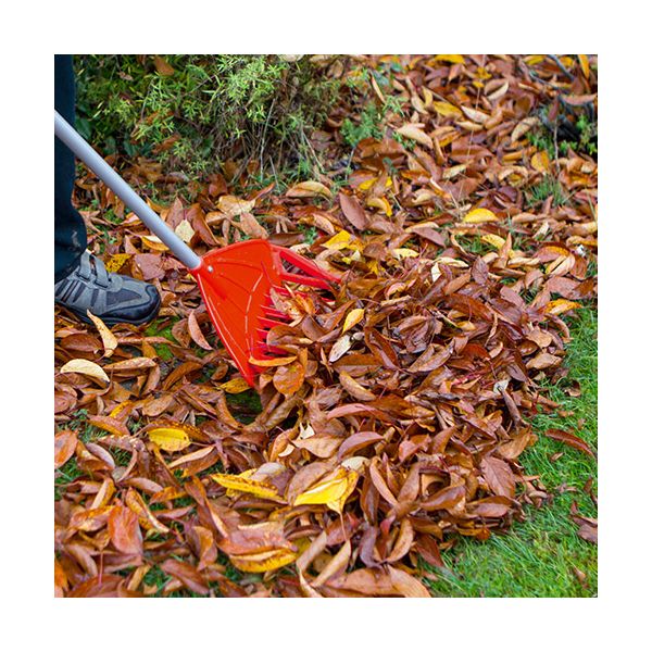 DARLAC Rake-n-Shift Small DP191