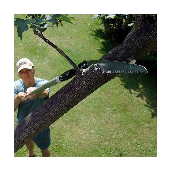 DARLAC S/T Sabre Tooth Saw DP565