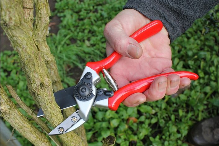 DARLAC Expert Anvil Pruner DP1035