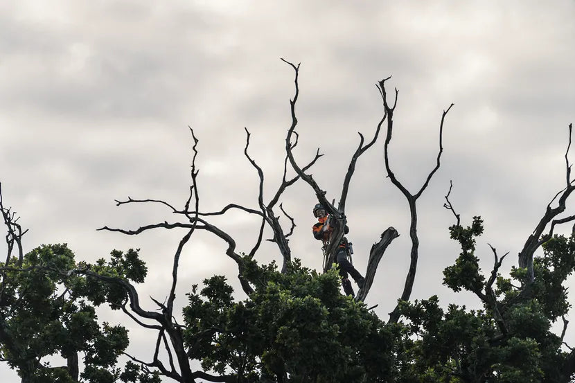 HUSQVARNA T540i XPG Chainsaw