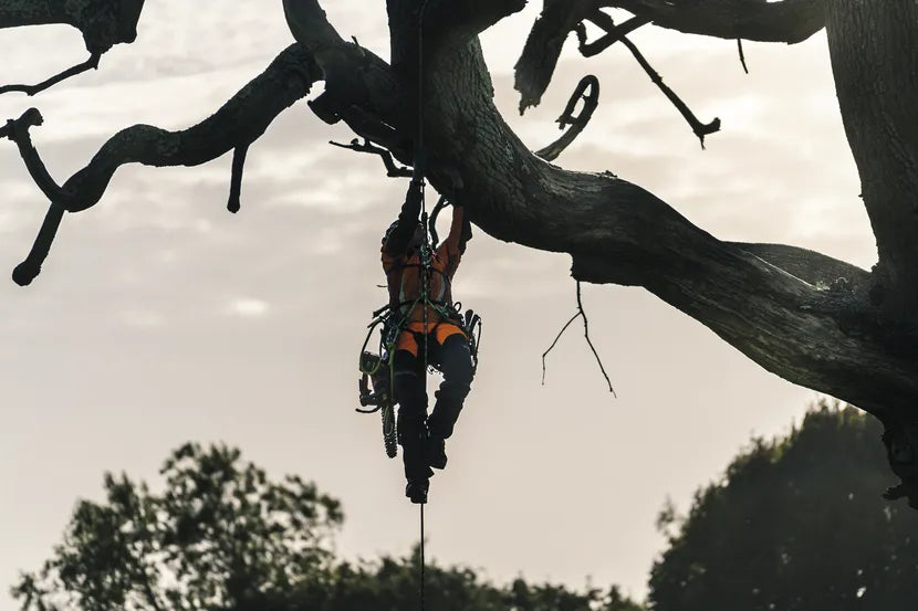 HUSQVARNA T540i XPG Chainsaw