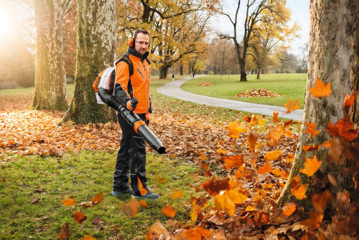 STIHL BR 450 C-EF Blower