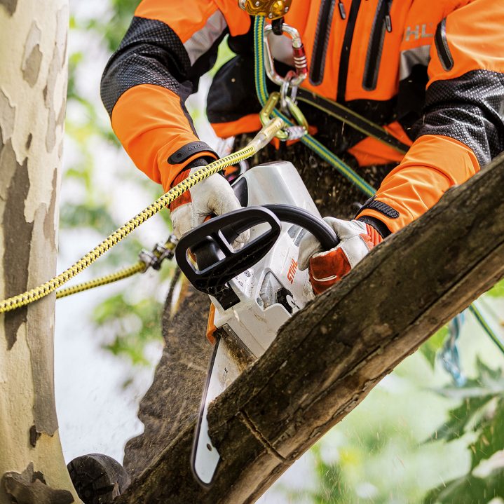 STIHL MSA 161 T Chainsaw