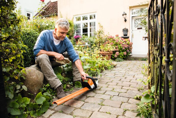 STIHL HSA 45 Hedge Trimmer