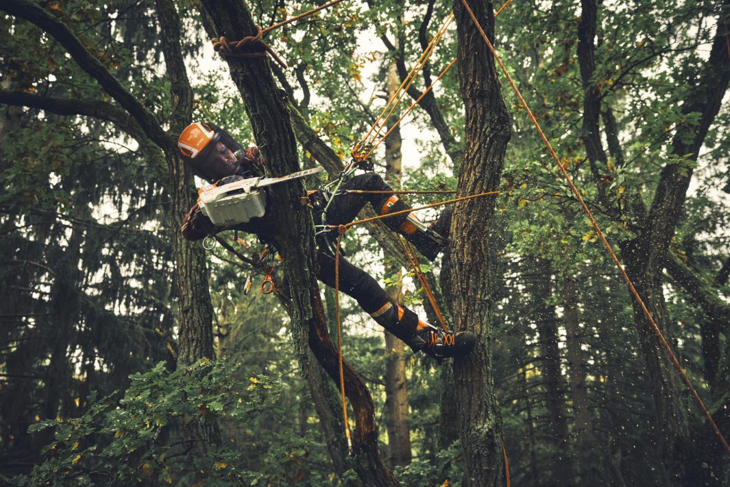 STIHL MSA 190 T Cordless Chainsaw - AP System