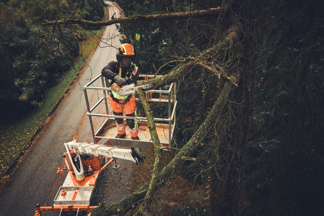 STIHL MSA 190 T Cordless Chainsaw - AP System