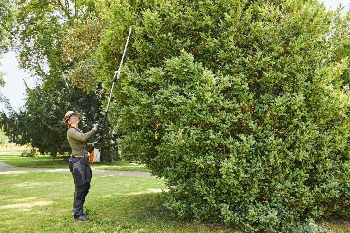 STIHL HLA 135 Hedge Trimmer