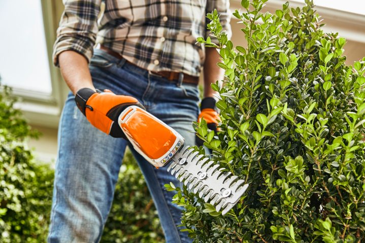 STIHL HSA 26 Shrub & Grass Trimmer
