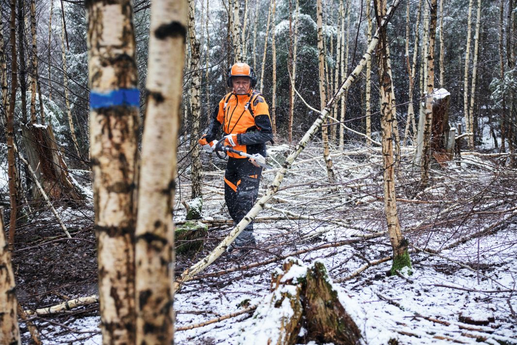 STIHL HTA 150 Pole Pruner