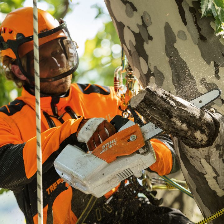STIHL MSA 161 T Chainsaw