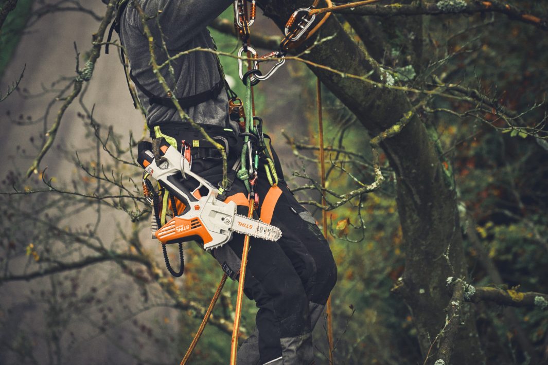 STIHL GTA 40 Pruner