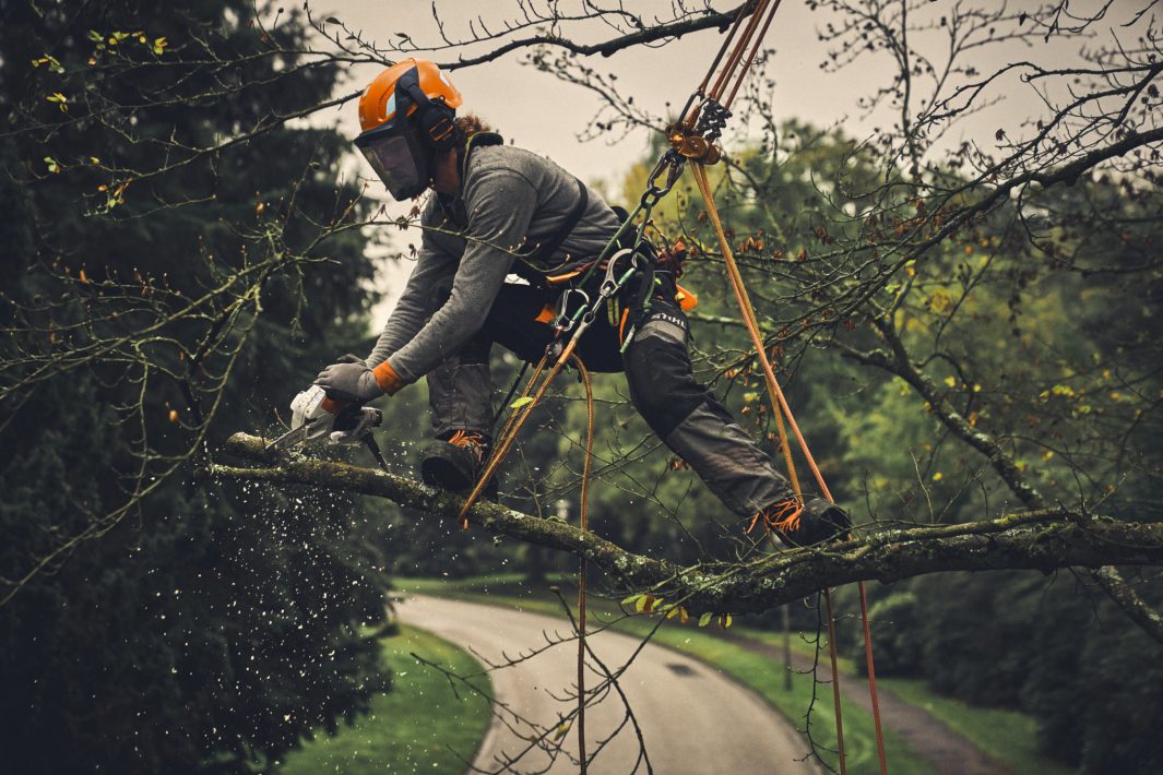 STIHL GTA 40 Pruner