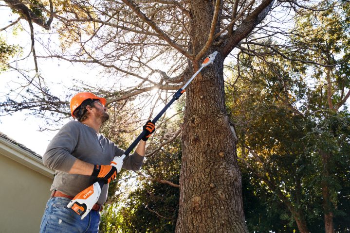 STIHL HTA 50 Pole Pruner