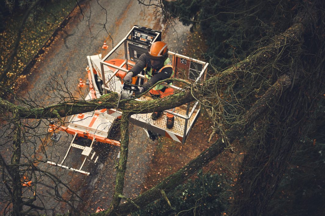 STIHL MSA 190 T Cordless Chainsaw - AP System