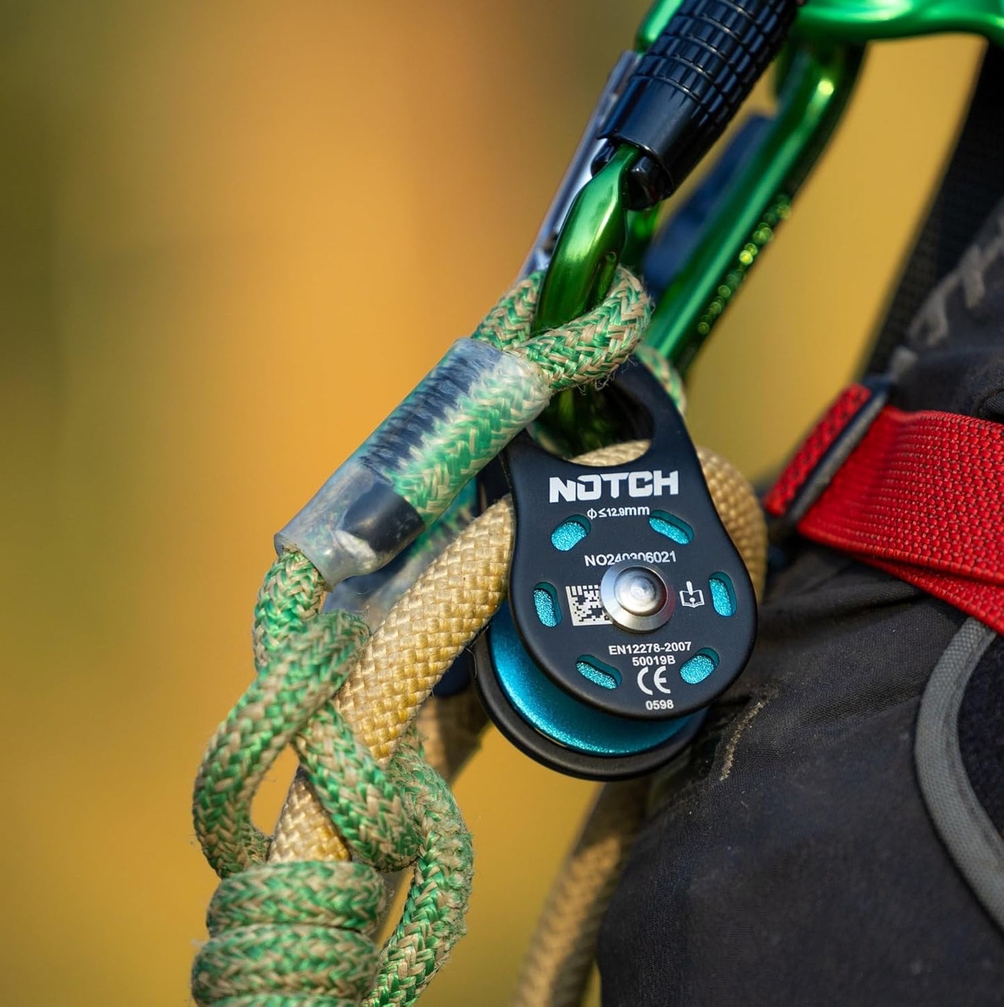 Notch Micro Swing Cheek Pulley CE version PULL-NOTC-0004