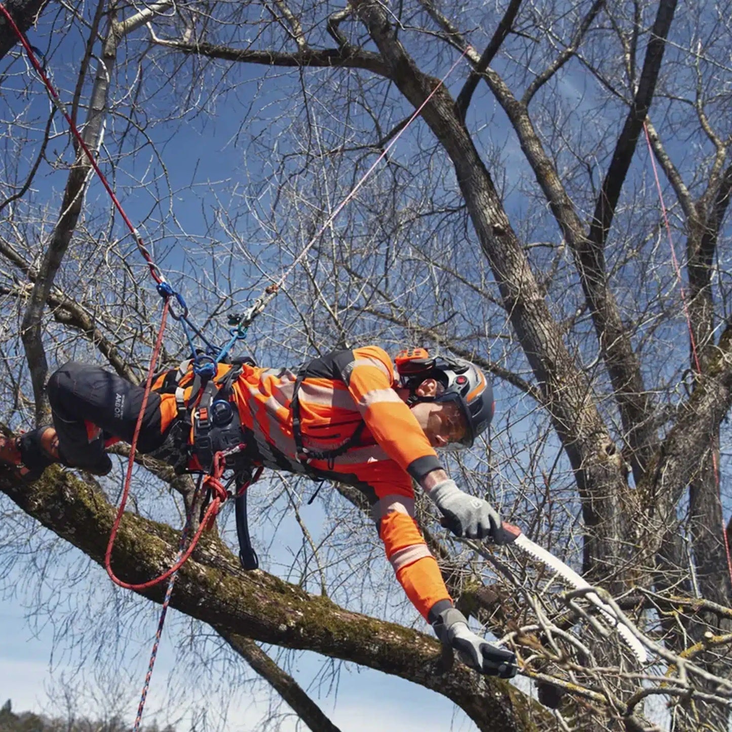 HUSQVARNA HARNESS Climbing, with multiple bridge
