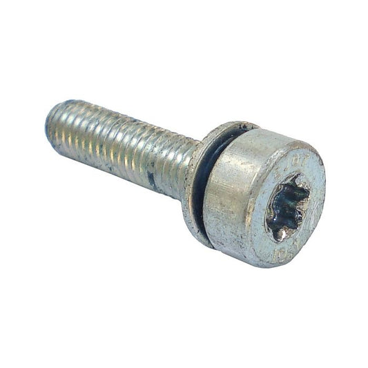 STIHL Spline screw IS-M5x20 90223411019 / 9022 341 1019