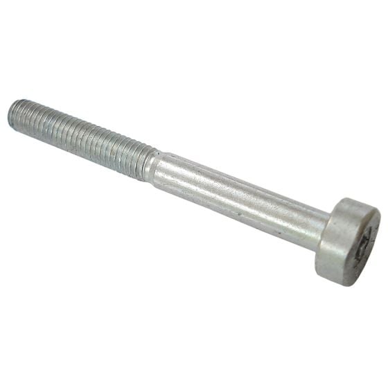 STIHL Spline screw IS-M5x48x22 90223411220 / 9022 341 1220