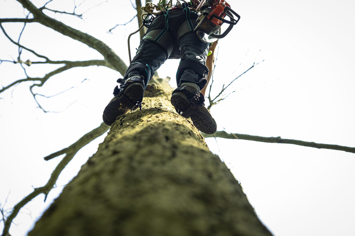 Notch Gecko Ergo Steel Climbing Spikes