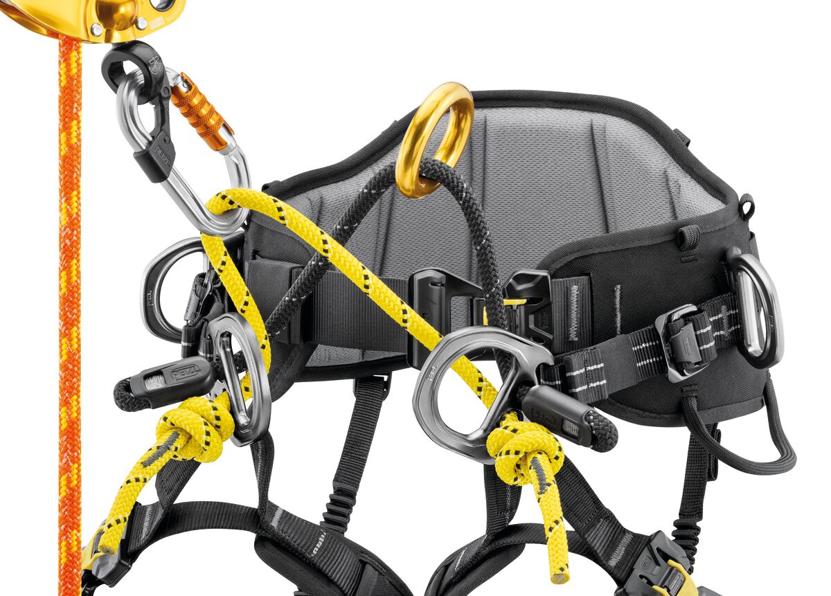 PETZL New SEQUOIA Tree Care Harness