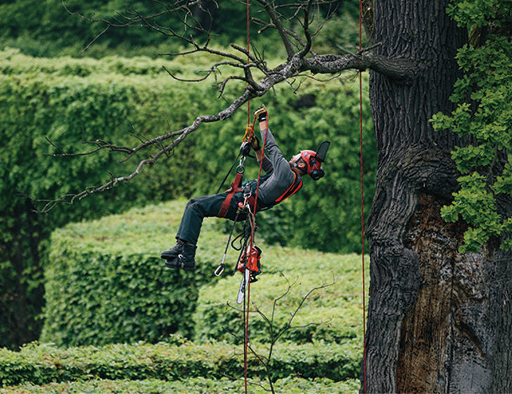 ECHO CS-362TES Chainsaw