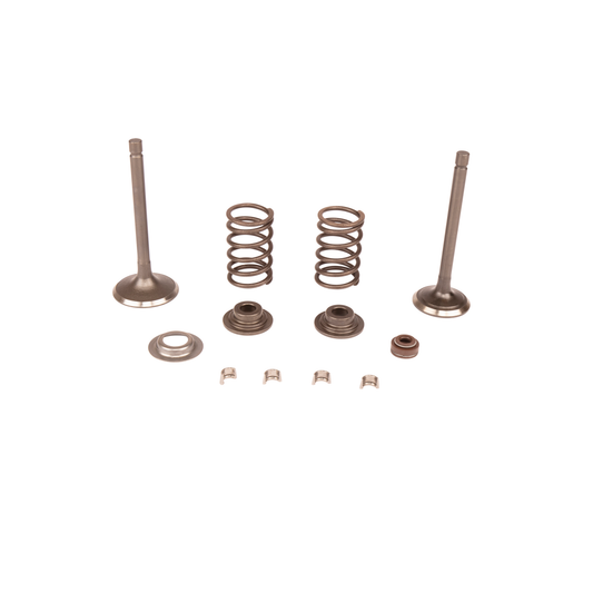 HUSQVARNA VALVE KIT - 599349261 / 599 34 92-61