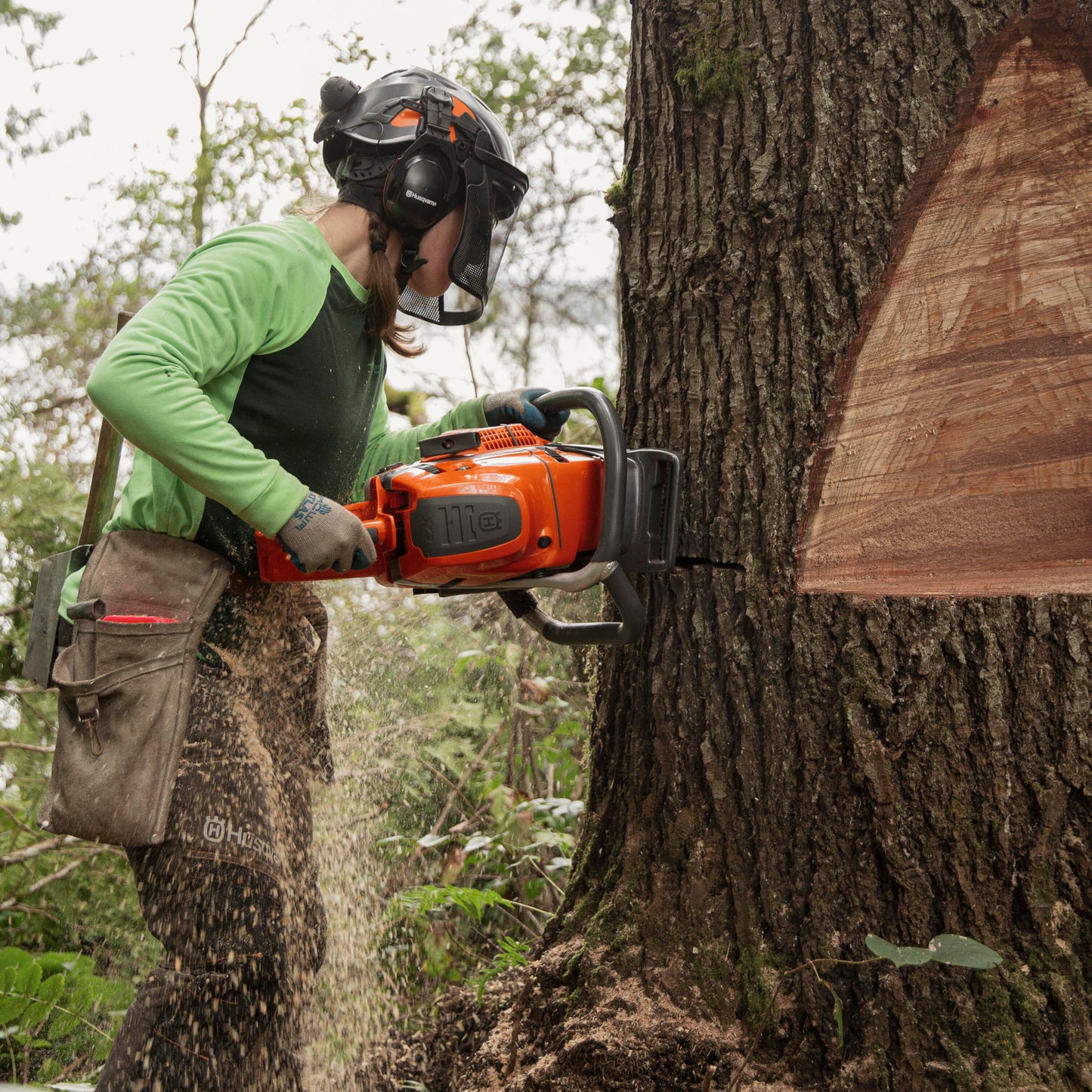 HUSQVARNA 592 XP Chainsaw