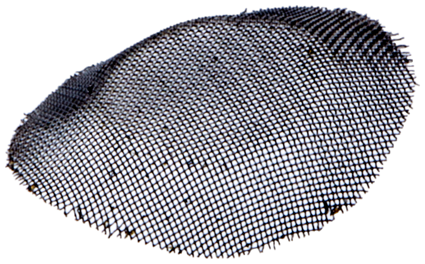 HUSQVARNA SCREEN - 503988201 / 503 98 82-01