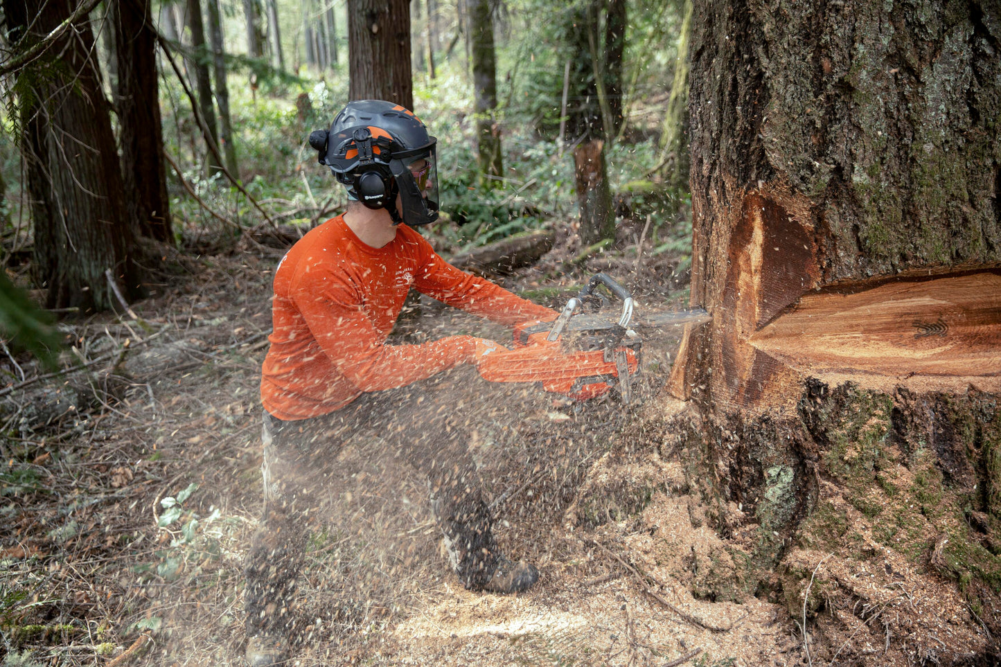 HUSQVARNA 585 Chainsaw