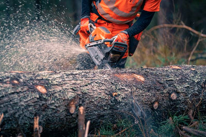 HUSQVARNA 592 XPG Chainsaw