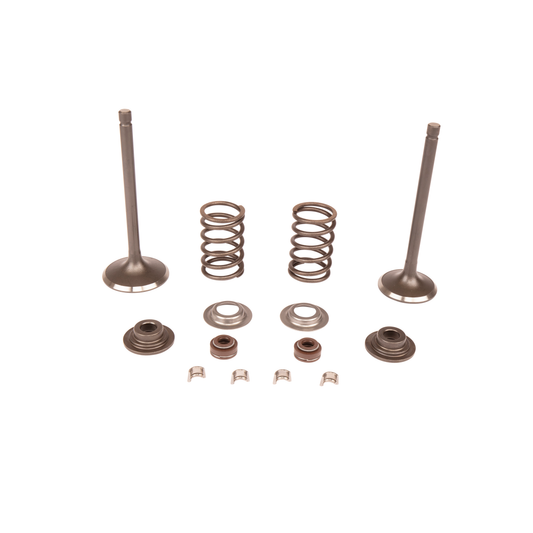 HUSQVARNA VALVE KIT - 599349250 / 599 34 92-50