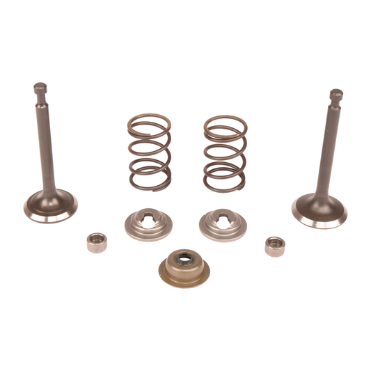 HUSQVARNA VALVE KIT - 599349245 / 599 34 92-45