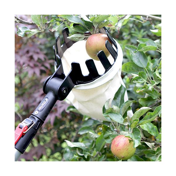 DARLAC Expert Fruit Pick Basket DP1569