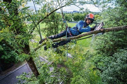 STIHL MSA 240 TC-O Chainsaw