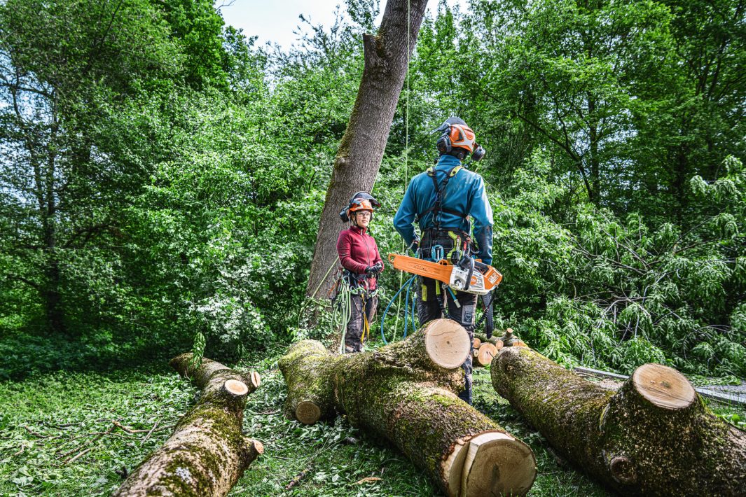 STIHL MSA 240 TC-O Chainsaw