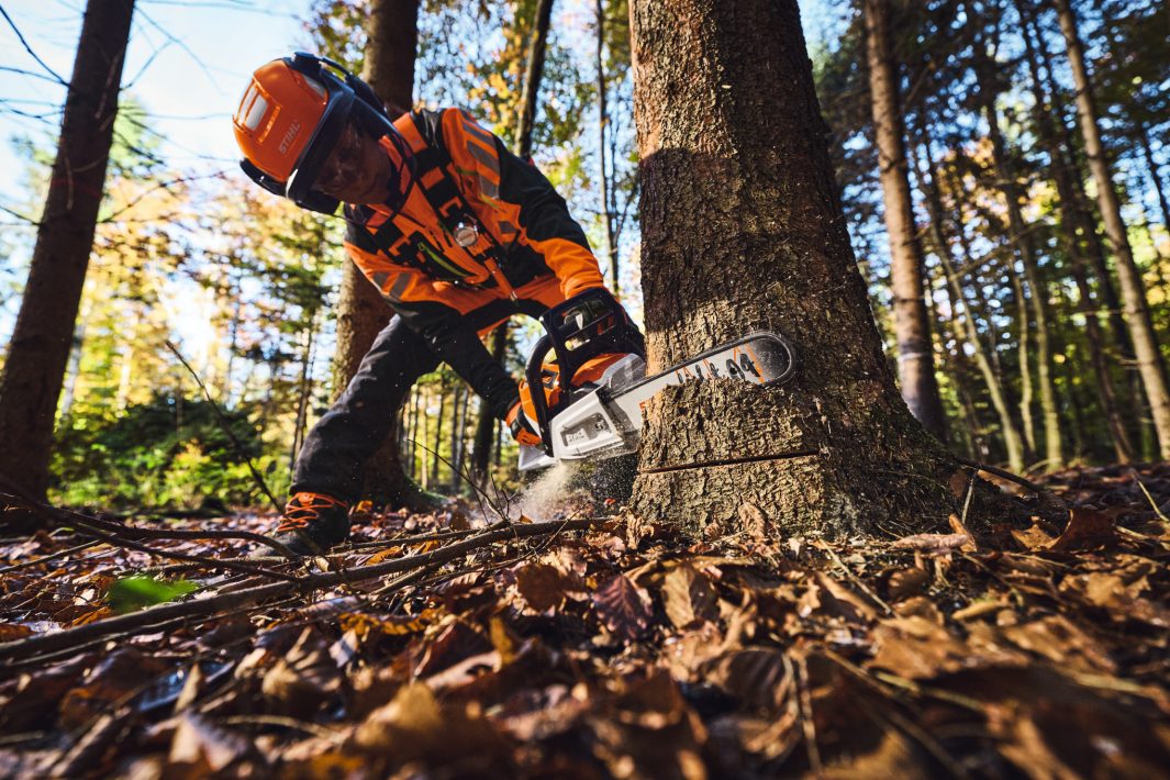 STIHL MSA 260 C-O Chainsaw