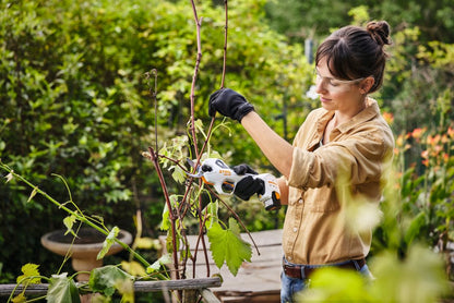 STIHL ASA 20 Cordless Secateurs