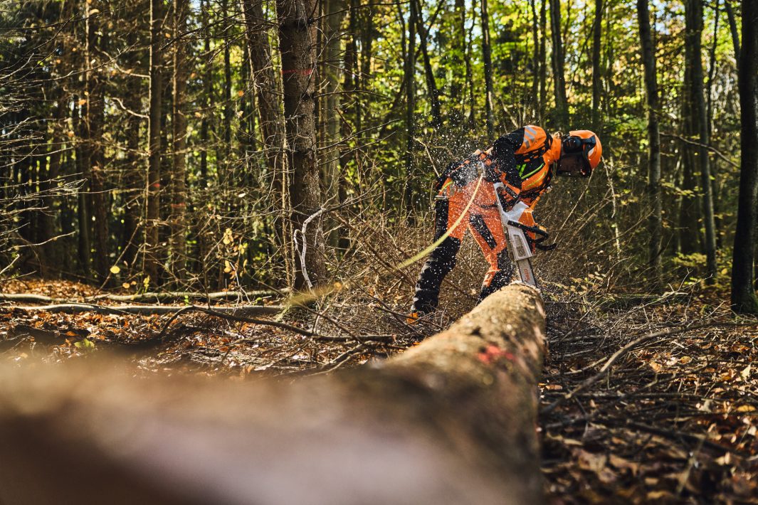 STIHL MSA 260 C-O Chainsaw